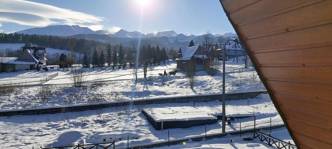 Willa Siklawa Zakopane Exterior foto