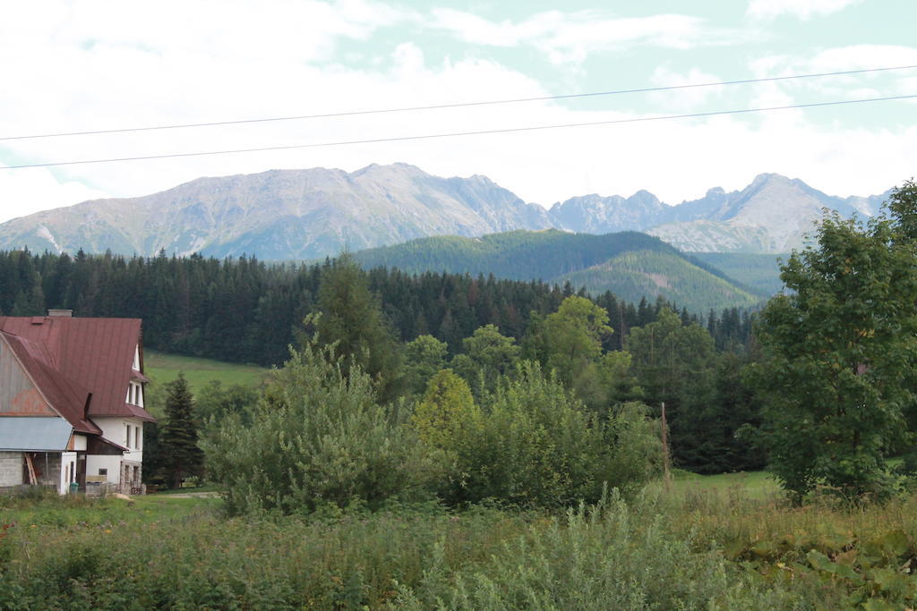 Willa Siklawa Zakopane Cameră foto